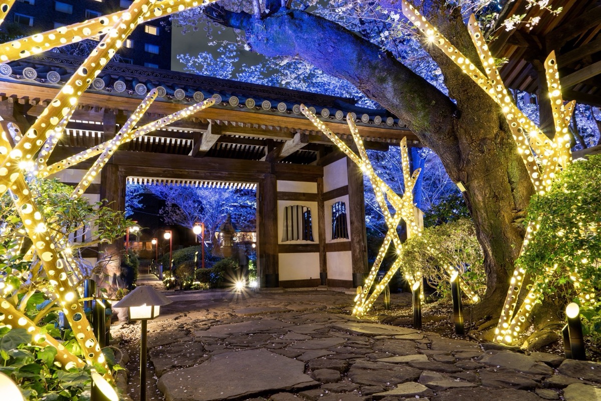 高輪 花香路