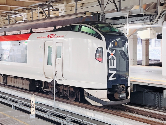 成田エクスプレス（N'EX）の車両の画像