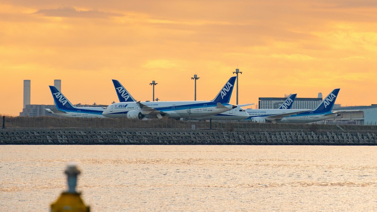 夕方の羽田空港に並ぶ ANA の飛行機